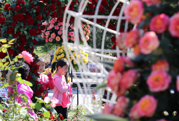 개천절이자 휴일인 3일 2018 세계정원박람회가 열리는 서울 여의도 공원을 찾은 시민들이 아름답게 꾸며진 정원에서 초가을 오후를 즐기고 있다. 2018.10.3  연합뉴스