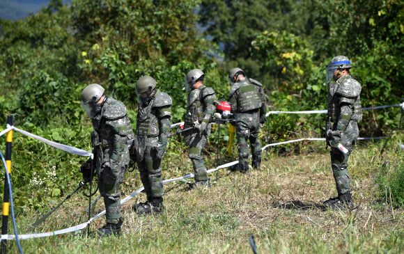 2일 강원도 철원군 5사단 인근 비무장지대에서 군인들이 지뢰제거 작업을 하고 있다.   남북은 군사분야 합의서에서 10월 1일부터 20일까지 판문점 지뢰부터 제거하기로 했다. 같은 날 시작되는 화살머리고지 지뢰제거는 11월 30일까지 끝내기로 했다. 2018.10.3  사진공동취재단