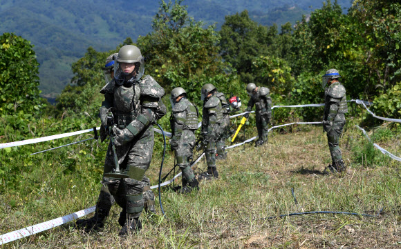2일 강원도 철원군 5사단 인근 비무장지대에서 군인들이 지뢰제거 작업을 하고 있다.   남북은 군사분야 합의서에서 10월 1일부터 20일까지 판문점 지뢰부터 제거하기로 했다. 같은 날 시작되는 화살머리고지 지뢰제거는 11월 30일까지 끝내기로 했다. 2018.10.3  사진공동취재단