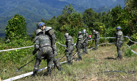 2일 강원도 철원군 5사단 인근 비무장지대에서 군인들이 지뢰제거 작업을 하고 있다.   남북은 군사분야 합의서에서 10월 1일부터 20일까지 판문점 지뢰부터 제거하기로 했다. 같은 날 시작되는 화살머리고지 지뢰제거는 11월 30일까지 끝내기로 했다. 2018.10.3  사진공동취재단