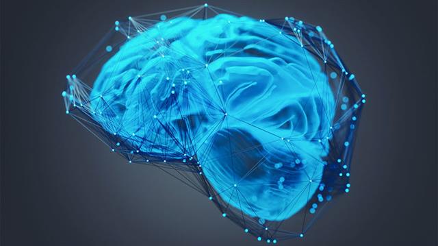 신경과학자들이 인간의 자유의지에 관여하는 뇌 부위를 탐구하기 시작해 첫 관문을 열었다. 그림은 뇌신경망 구조를 입체적으로 표현한 모식도.  사이언스 제공