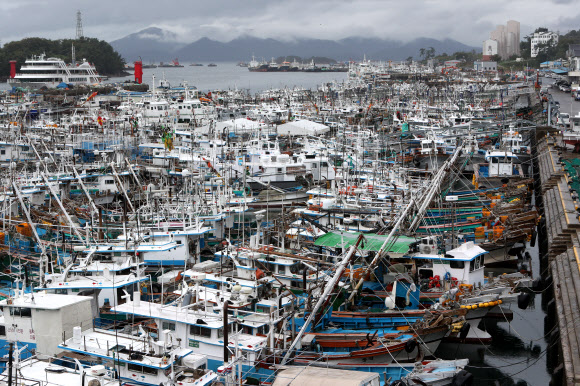 항구로 피항한 어선