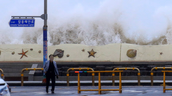 ‘태풍 콩레이는 지나갔건만’