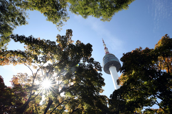 태풍이 물러가고 맑은 날씨를 보인 7일 오전 서울 중구 남산 N서울타워 앞의 나무가 붉게 물들고 있다. 2018.10.7  연합뉴스