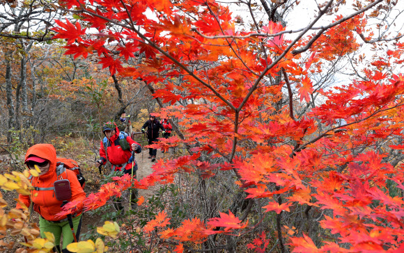 10일 강원 양양군 설악산 국립공원 한계령 구간의 단풍 사이로 등산객들이 발걸음을 옮기고 있다. 설악산 국립공원관리공단은 오는 18일께 설악산 단풍이 절정에 이를 것으로 예상하고 있다. 2018.10.10  연합뉴스