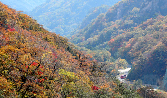10일 강원 양양군 설악산 오색령 정상에서 바라본 설악산 일대가 단풍으로 물들고 있다. 설악산 국립공원관리공단은 오는 18일께 설악산 단풍이 절정에 이를 것으로 예상하고 있다. 2018.10.10  연합뉴스