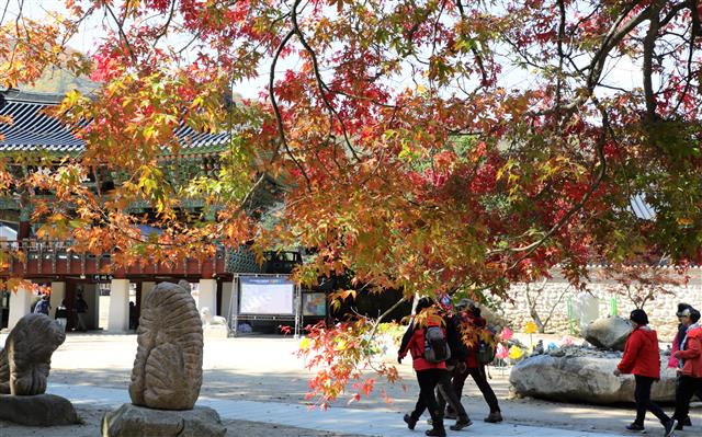관광객들이 10일 붉은 단풍옷을 입기 시작한 강원 평창군 오대산국립공원을 찾아 가을 정취를 느끼고 있다.2018.10.10 뉴스1