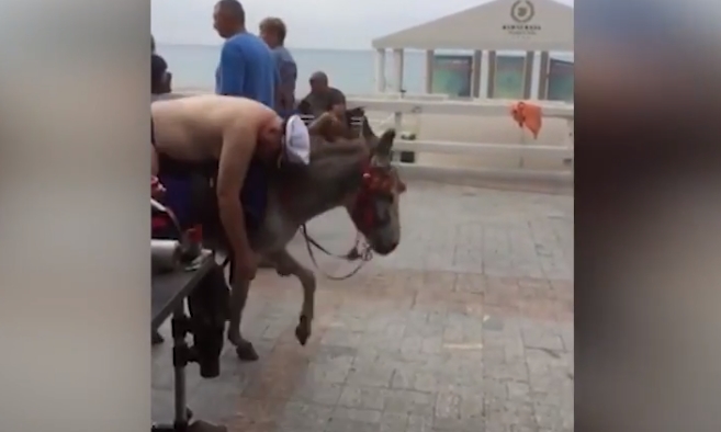 술 취해 당나귀에 실려 가는 남성