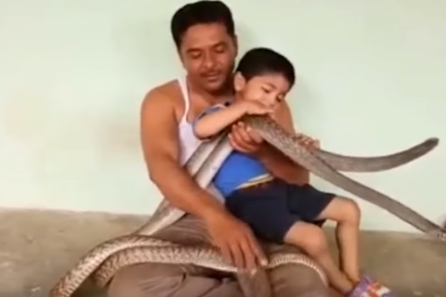 뱀 두 마리와 스스럼없이 노는 아이