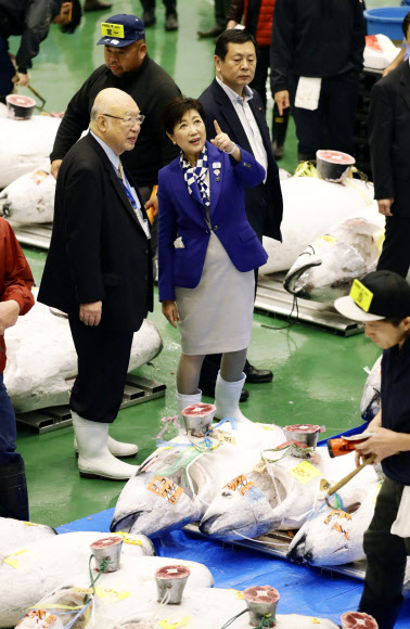 ‘새 도쿄의 부엌’ 도요스시장서 열린 참치 경매