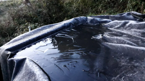 파주 법원읍에서 올가을 처음 관측된 얼음