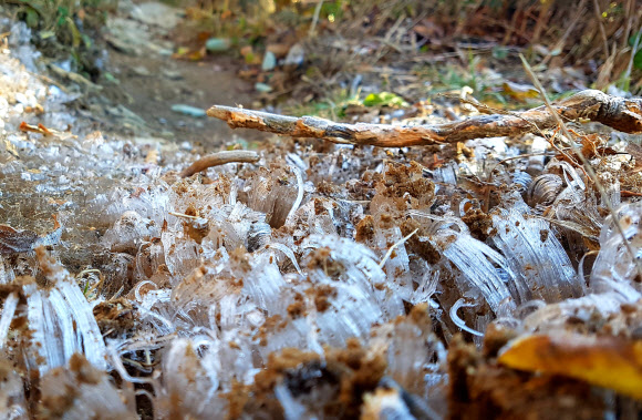 국립공원 덕유산 정상에 첫 얼음