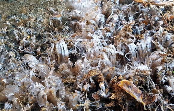 국립공원 덕유산 정상에 첫 얼음