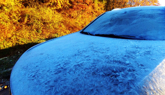 대관령 단풍과 아이스 차량