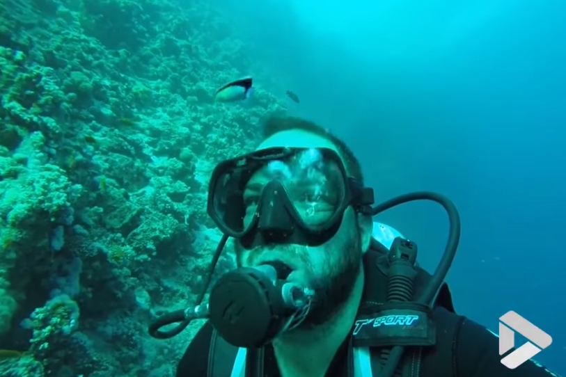 물고기에게 스케일링 받는 잠수부