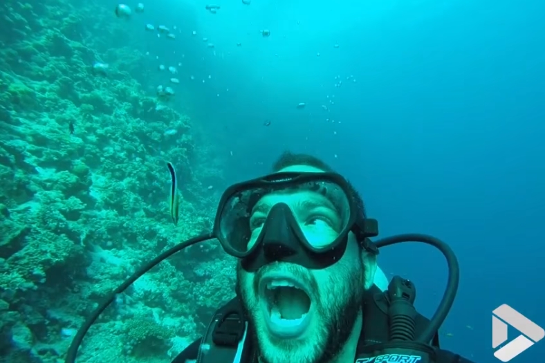 물고기에게 스케일링 받는 잠수부