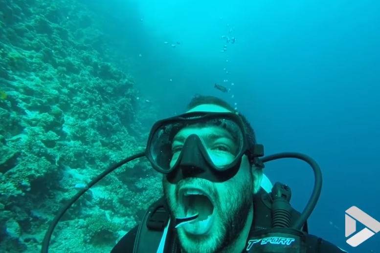 물고기에게 스케일링 받는 잠수부