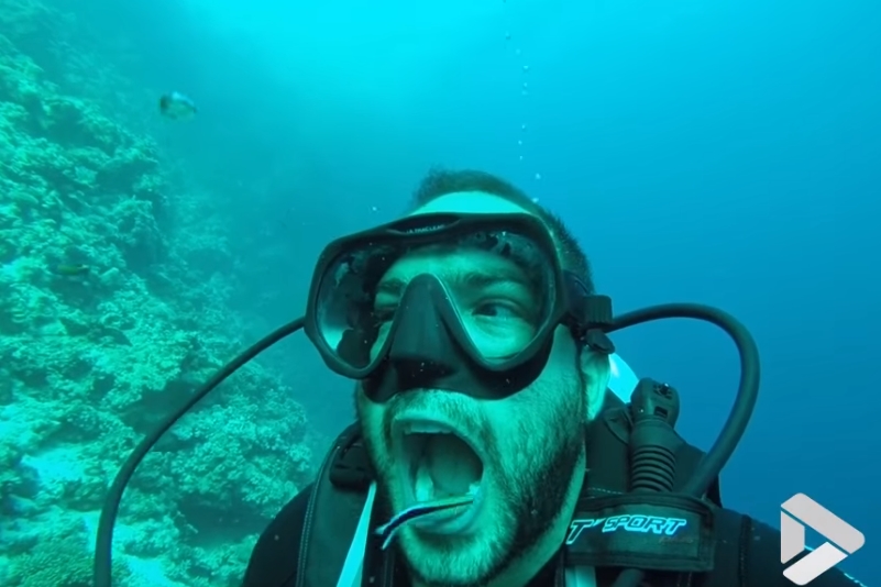 물고기에게 스케일링 받는 잠수부