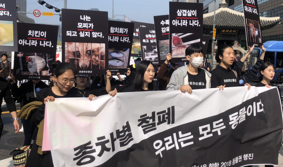 14일 서울 종로 보신각 앞에서 세계 동물권 선언의 날을 기념해 열린  ‘종차별 없는 세상을 향한 2018 동물권 행진’에 참여한 시민들이 행진을 하고 있다. 2018. 10. 14 정연호 기자 tpgod@seoul.co.kr