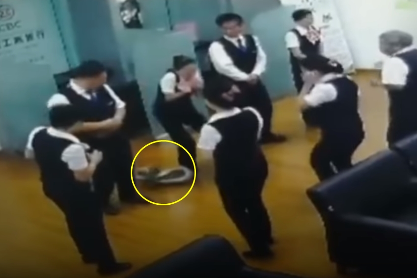 천장에서 툭 떨어진 뱀