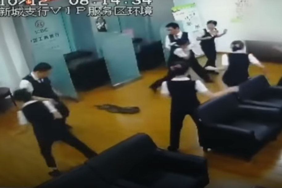 천장에서 툭 떨어진 뱀