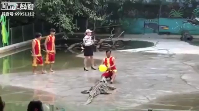 악어쇼를 진행하던 사람들 중 한 명이 물에 빠져 소리에 놀라 줄행랑 치는 모습(유튜브 영상 캡처)