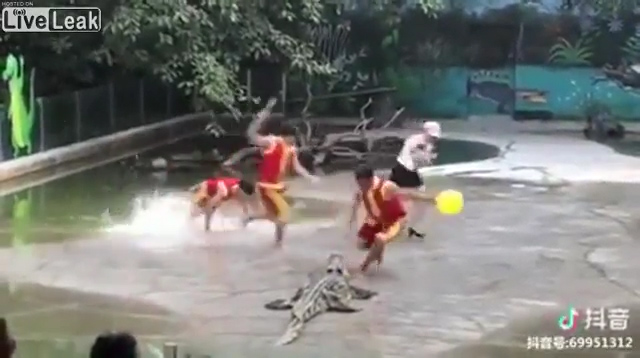 악어쇼를 진행하던 사람들 중 한 명이 물에 빠져 소리에 놀라 줄행랑 치는 모습(유튜브 영상 캡처)