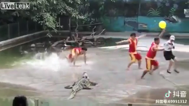 악어쇼를 진행하던 사람들 중 한 명이 물에 빠져 소리에 놀라 줄행랑 치는 모습(유튜브 영상 캡처)
