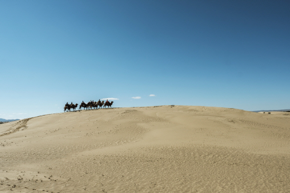엘승타사르하이에서 관광객들이 낙타를 타고 사막을 건너고 있다. ‘모래의 단절’이란 뜻의 엘승타사르하이는 사막과 대초원이 공존하는 곳으로 유명하다. 초원 한가운데 사막이 80㎞나 이어져 있다.