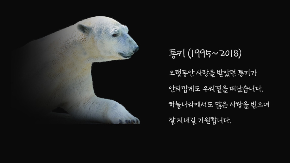에버랜드는 국민들에게 많은 사랑을 받아온 국내 유일의 북극곰 통키(24살?수컷)가 17일 오후 6시께 세상을 떠났다고 18일 밝혔다. 사진은 통키의 죽음을 애도하는 에버랜드 홈페이지. 2018.10.18  에버랜드 홈페이지