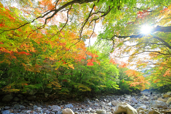 19일 제주 한라산 천아숲길 광령천 계곡의 단풍이 장관을 이루고 있다. 2018.10.19  연합뉴스