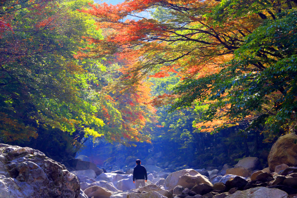 19일 제주 한라산 천아숲길 광령천 계곡의 단풍이 장관을 이루고 있다. 2018.10.19  연합뉴스