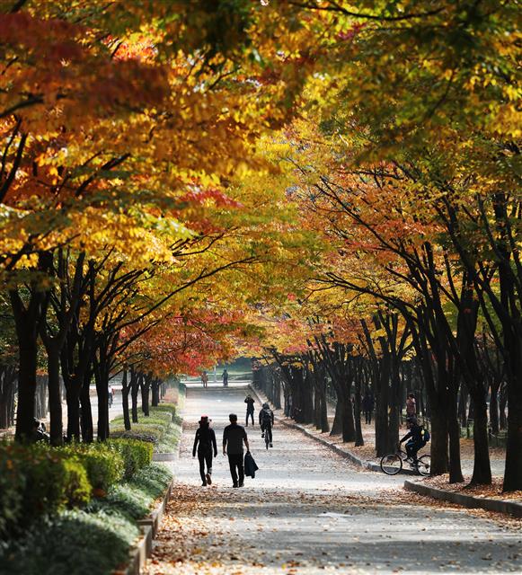 시민들이 22일 오후 인천시 남동구 인천대공원에서 단풍을 구경하고 있다.2018.10.22 뉴스1