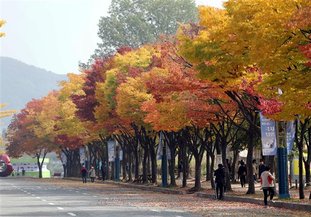 관광객들이 22일 오후 인천시 남동구 인천대공원에서 단풍을 구경하고 있다.2018.10.22 뉴스1