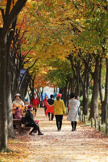 시민들이 22일 오후 인천시 남동구 인천대공원에서 단풍을 구경하고 있다.2018.10.22 뉴스1