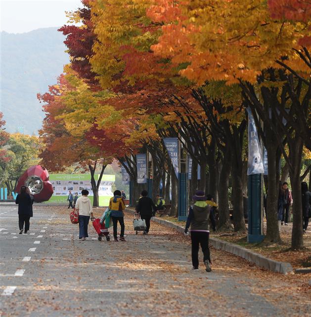 시민들이 22일 오후 인천시 남동구 인천대공원에서 단풍을 구경하고 있다.2018.10.22 뉴스1