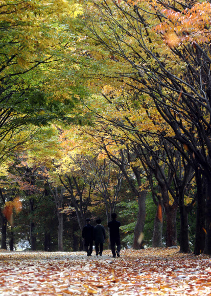 가을이 마음 속으로 성큼
