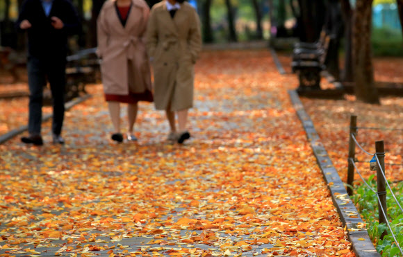 점심시간엔 가을 속으로