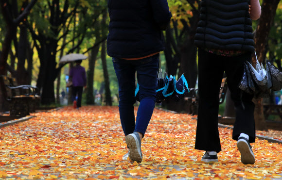 비가 그친 뒤 더욱 깊어진 가을로