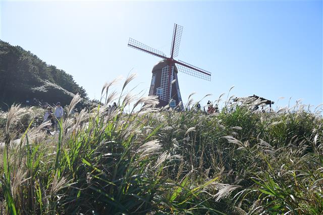 거제도를 방문하는 여행객이라면 으레 거제8경 중 둘째 가라면 서러울 바람의 언덕을 찾는다. 억새풀이 출렁이는 언덕 위에 서 있는 네덜란드풍 풍차는 이곳의 상징물이다.