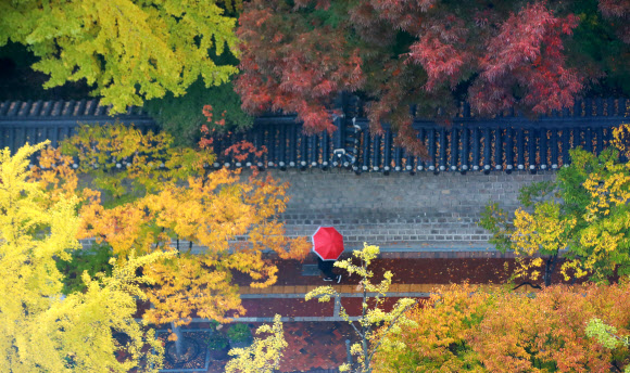 빗속을 걷다, 가을을 걷다