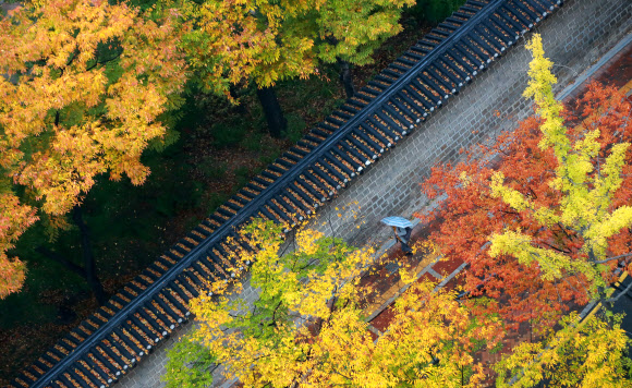 빗속을 걷다, 가을을 걷다