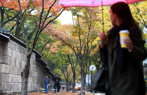 돌아보니 가을