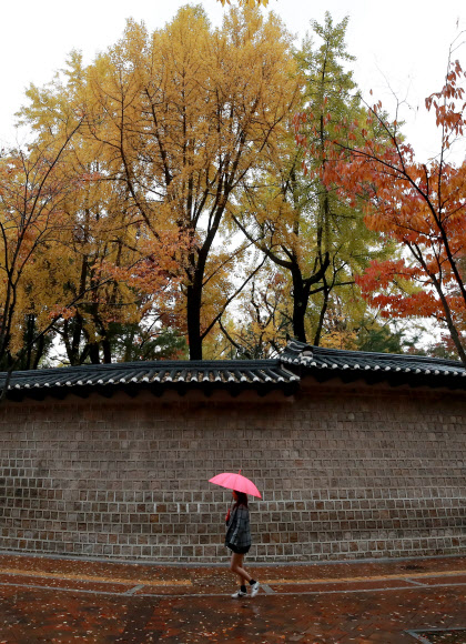 가을비 속에 풍경이 되다