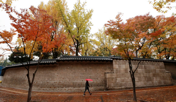 가을비 속에 풍경이 되다