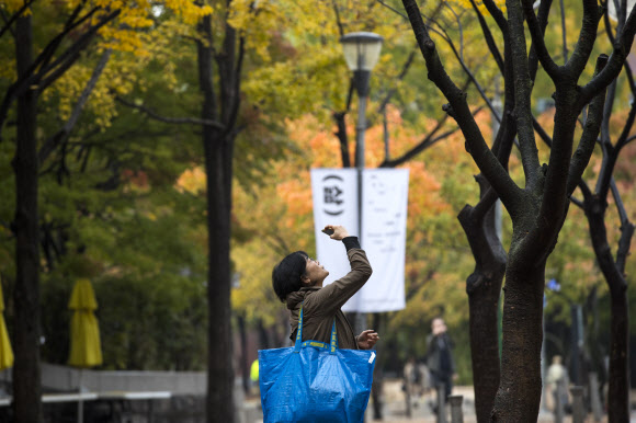 가을, 가을, 가을