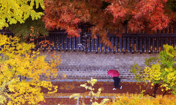 [서울포토] 우산도 가을색