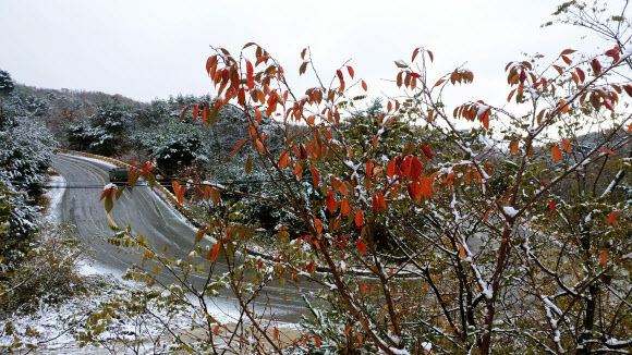 ‘가을과 겨울’ 공존