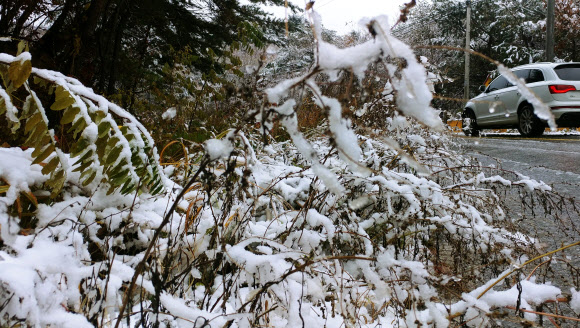 눈 쌓인 양구 돌산령