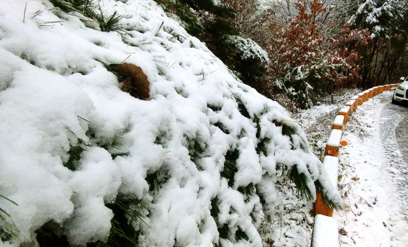 눈 쌓인 양구 돌산령
